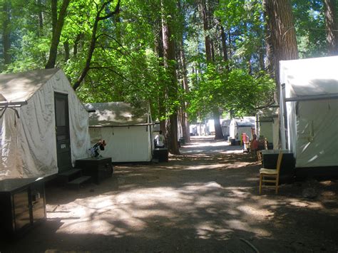 Yosemite Curry Village Tent Cabins And Yosemite Curry Village Also Offers