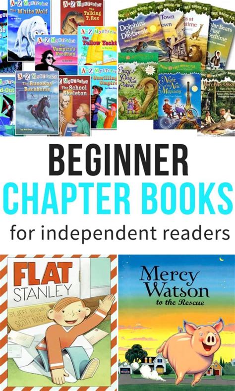 Beginner Chapter Books For Independent Readers Some The Wiser