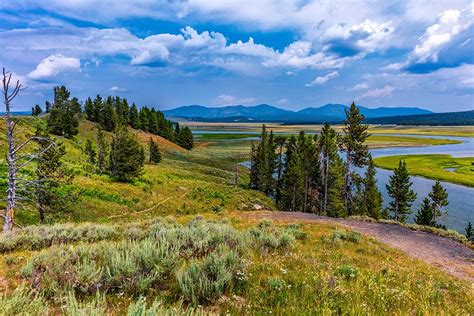 Summer Landscape In Yellowstone National Park National Parks Traveler