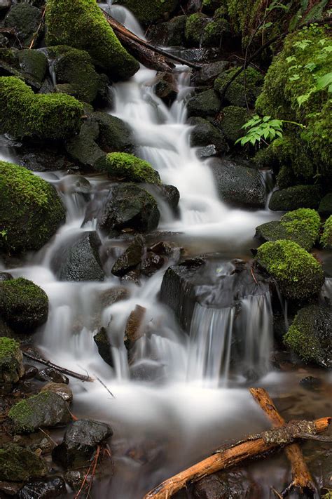Waterfall Mount Rainier National Park Photograph By Bob Noble Fine