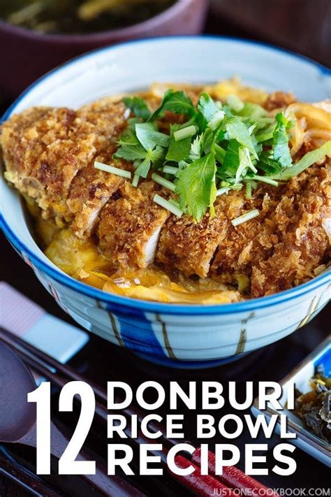 Donburi Japanese Rice Bowls Recipes Just One Cookbook