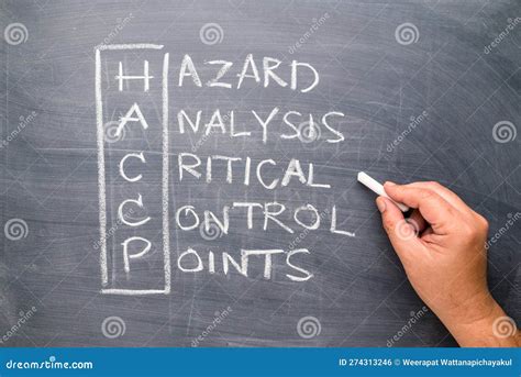 HACCP Hazard Analysis And Critical Control Points Report On Table Stock