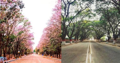 The decision was announced a day after the state reported a record 41,953 infections. Instagram Photos Of Empty Bangalore During Lockdown - Best ...