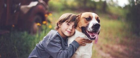 Teach Your Toddler Empathy Therapy Animals Animal Help Your Dog