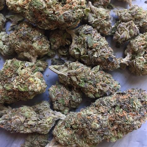 Gelato Hybrid Cannabis Dispensaries In California Usa