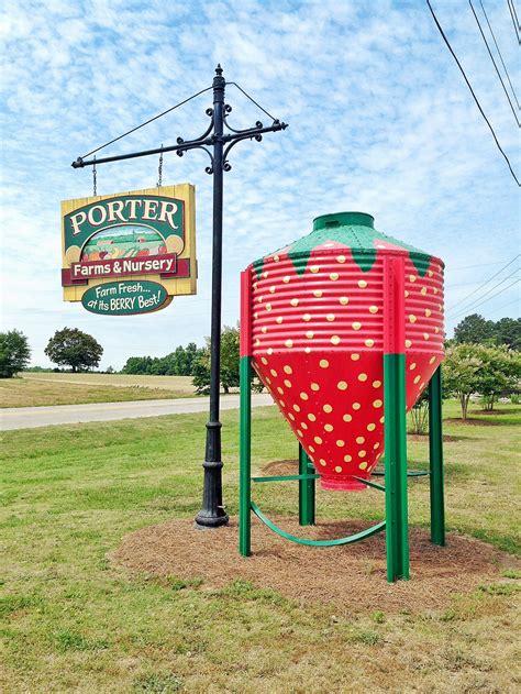 Top 3 Toddler-Friendly Things to Do in Raleigh, NC - Grace, Giggles and