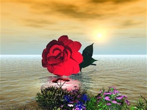 Amor (cristian castro song), a 1996 latin song. paisajes de amor - dani faith 1029