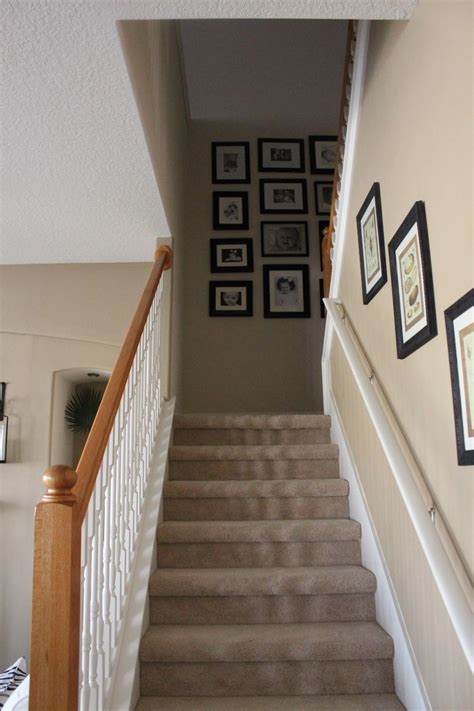 A staircase with zebra print. Hall Stairs And Landing Decorating Ideas | Dream House Experience