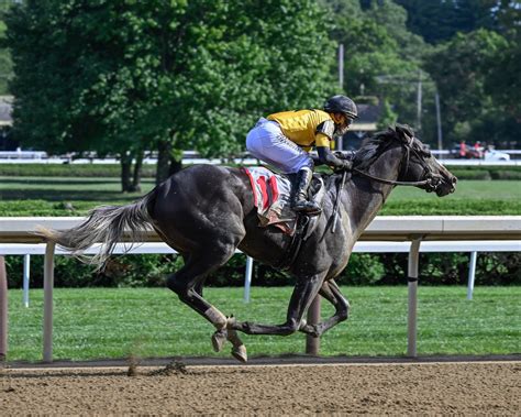 Ohana Honor West Point Thoroughbreds