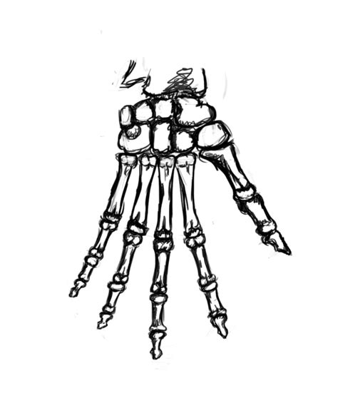 Hands Anatomy By Lichmcknee On Deviantart