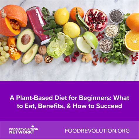 A Plant Based Diet For Beginners What To Eat Benefits And How To