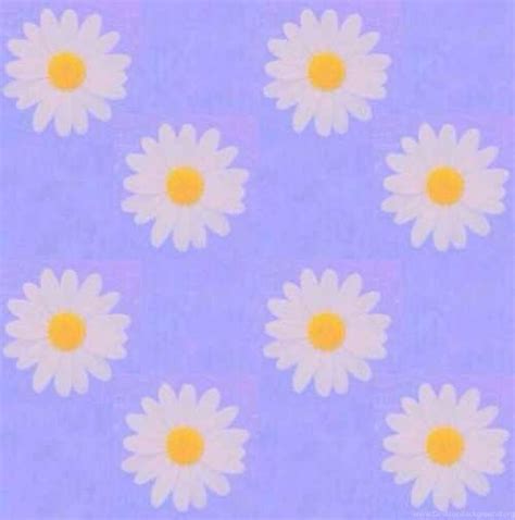 Pis v2.0 | đăng nhập Background, Backgrounds, Cute, Flowers, Pastel, Purple ...