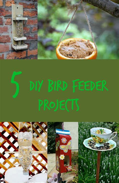 5 Diy Bird Feeder Projects