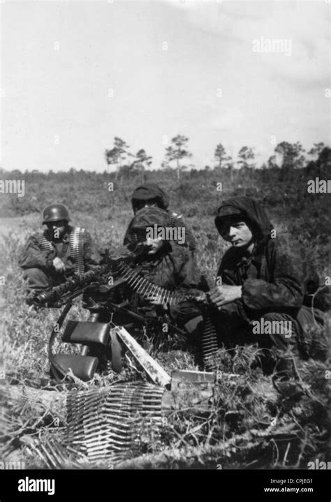 Flämische Soldaten Der Waffen Ss An Der Ostfront 1941 Stockfotografie