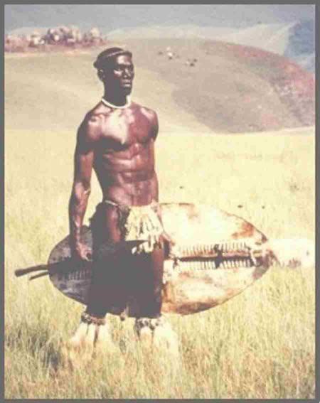 Shaka Zulu The Uniting Force Of The Zulu Kingdom