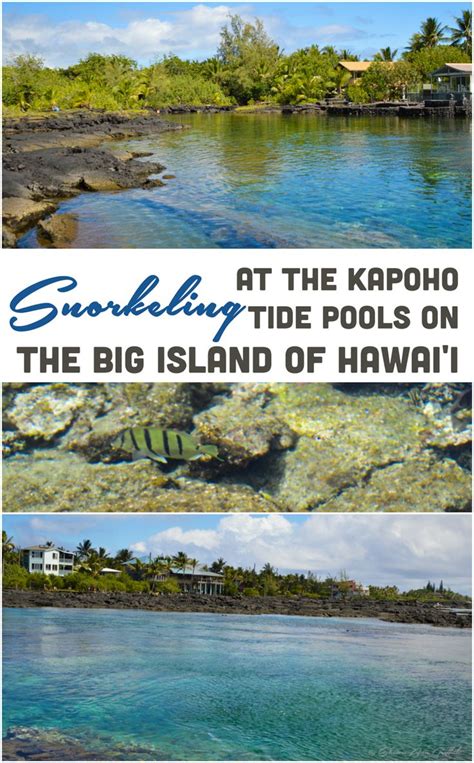 Snorkeling At The Kapoho Tide Pools On The Big Island Of Hawaii In
