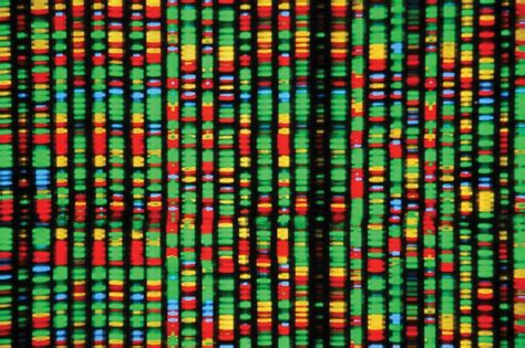 cientistas conseguem sequência mais completa de genoma humano planeta