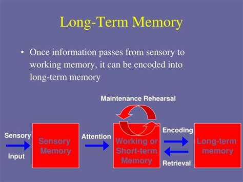 Ppt Stage Model Of Memory Powerpoint Presentation Id2594519