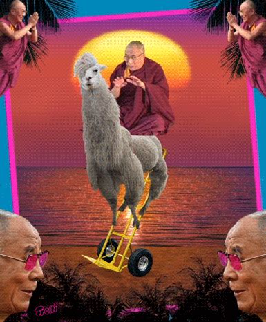 Share the best gifs now >>>. Dalai lama llama llama drama GIF on GIFER - by Saberwalker