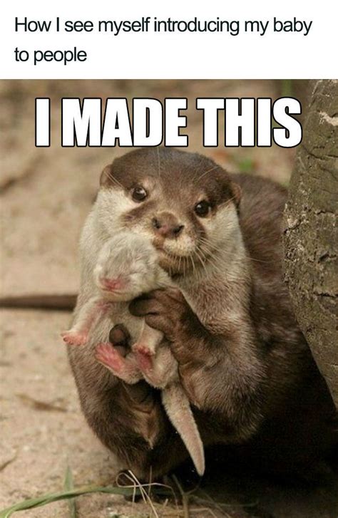 Anime meme ~ аниме мемы. 16 Of The Funniest Pregnancy Memes On The Internet That Will Make You Pee
