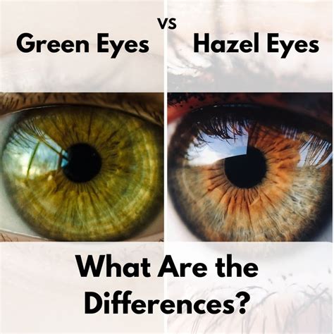 The Difference Between Green And Hazel Eyes Owlcation