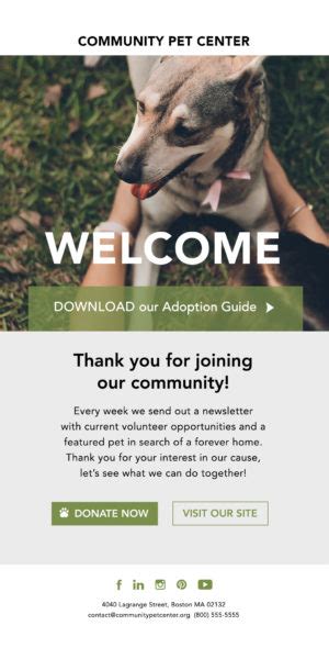How To Set Up An Effective Automated Welcome Email Series Constant