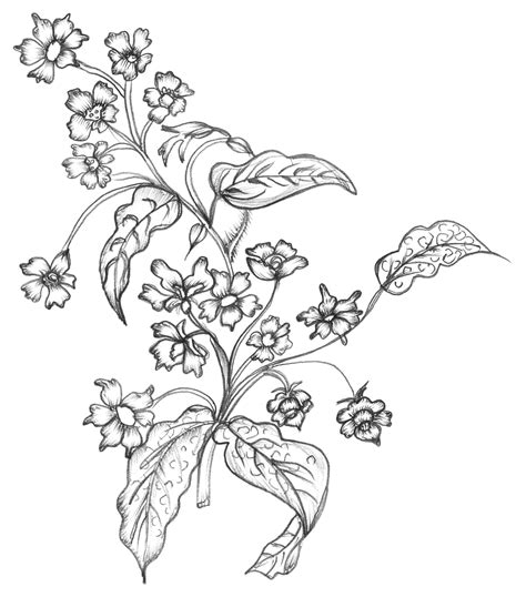 Imgbin is the largest database of transparent high definition png images. Flower Black And White PNG, Flower Black And White ...