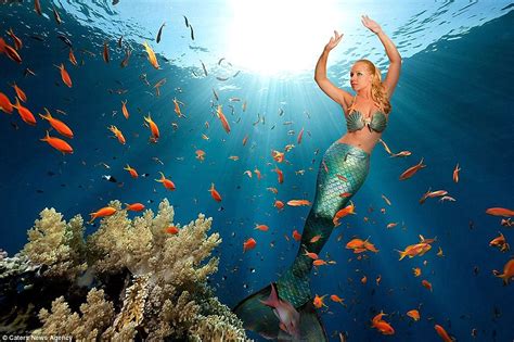 Mermaid Melissa Swimming With Giant Manta Rays In The Great Barrier Reef Daily Mail Online