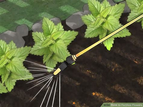 The most difficult challenge is that of the plants being cut off from the natural nutrients cycles. 3 Ways to Fertilize Flowers - wikiHow