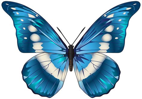 Blue Butterfly Images Clipart Free Download On Clipartmag