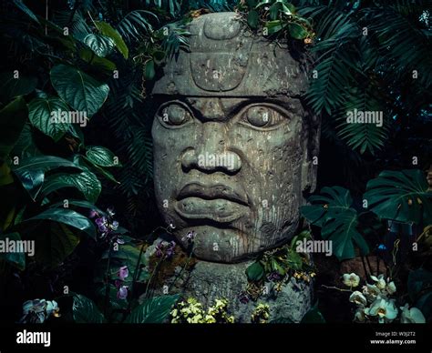 Olmec Sculpture Carved From Stone Big Stone Head Statue In A Jungle