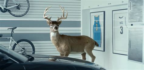 His endorsements include panini, nike, air jordan, tissot, and state farm. New NBA Commercial Debuts Christmas Day | StateFarm