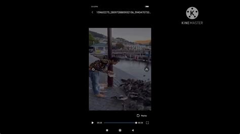 সোশ্যাল মিডিয়া ফেইসবুক, টুইটারে ভাইরাল হয়ে যাওয়া বিভিন্ন খবর, ছবি ভিডিও নিয়ে . ভাইরাল ভিডিও মুশফিক ভাইরাল ভিডিও মুশফিক - YouTube