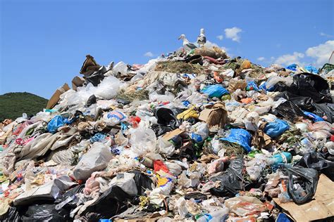 It's more than twice the size of texas (three times the size of france), and it's growing every day.mar 22, 2018 since this. San Jose Landfill Operator to Form Odor Coalition | Waste360