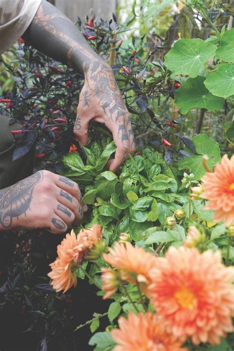 Black Thumbs, Rejoice: The "Anti-Garden" Era Is Here