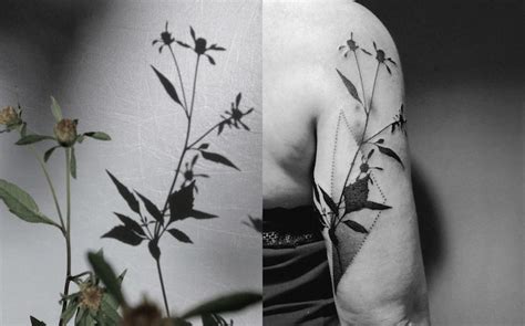 Shadow Tattoos Cast From Beautiful Plants By Tedd Hucks