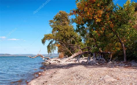 Wir sprechen mit udo lochmann und seiner frau über ihr hobby welches sie zum. Landschaft am Plattensee im Herbst, Ungarn — Stockfoto ...