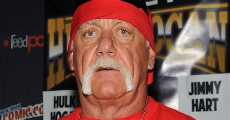 Hulk Hogan Denies Being Racist And Asks For Forgiveness After Slur