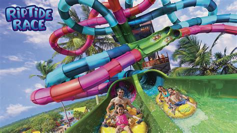 Floridas First Dueling Water Slide Will Debut At Aquatica Orlando In 2020 Coaster Nation
