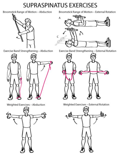 Supraspinatus Exercises Mobilityexercises Physical Therapy Exercises