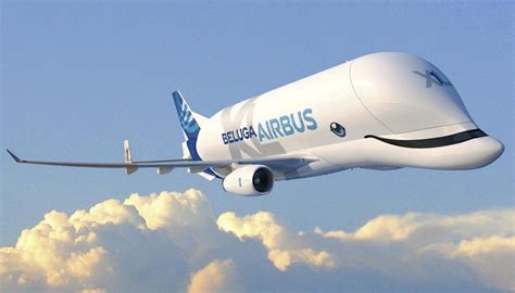 Video Enormous Airbus Beluga Xl Takes To The Skies Newshub