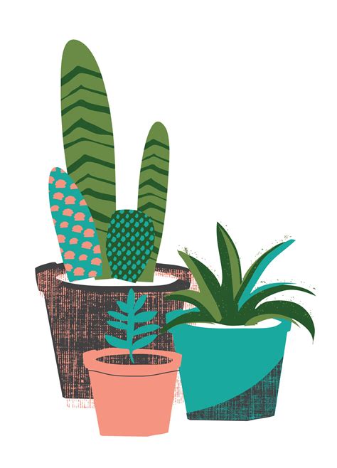 Cactus y suculentas └ plantas y esquejes └ plantas, semillas y bulbos └ artículos para terraza y jardín └ casa, jardín y bricolaje todas las categorías arte y antigüedades artesanía y manualidades bebés belleza y salud cámaras y fotografía casa, jardín y bricolaje cine. Ilustración plantas - Zoe's Portfolio - STUDIO ART ...