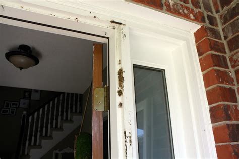 Painting a door is a great way to add the finishing touches to a room that has just recently been painted. just say no to storm doors - tutorial - Crazy Wonderful