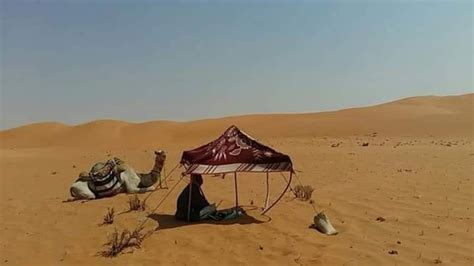 Découvrez Le désert sahara Sud Tunisie Sud Tunisie