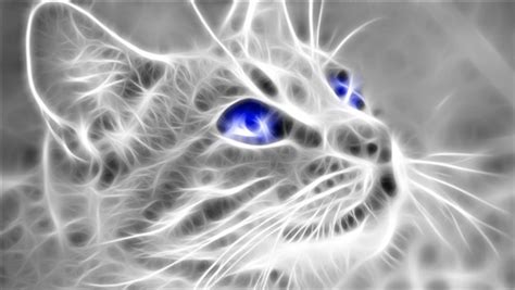 4K Wallpaper of 3D Cat | HD Wallpapers
