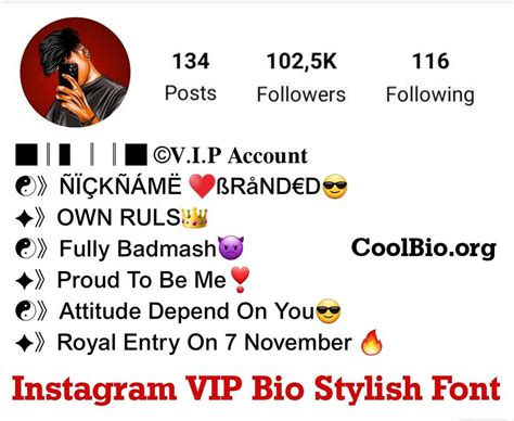 Best 250 Instagram Vip Bio Stylish Font 2023 Cool Bio