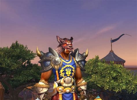 Unlike some other mystics, shamans commune with forces that are not strictly benevolent. Headdress of the First Shaman - Item - World of Warcraft