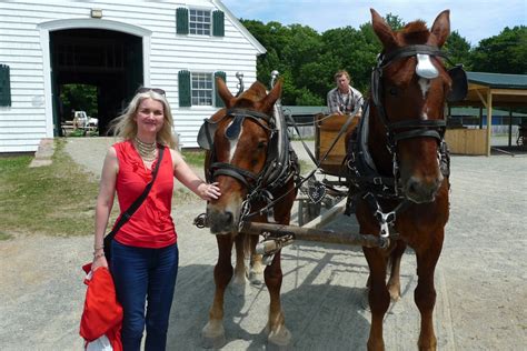 Acadia National Park Horse And Carriage Tour Tammy Tour Guide