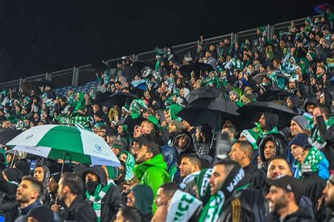 מידע על כל הסניפים של מכבי דנט, רשת מרפאות השיניים המובילה בישראל של מכבי שירותי בריאות. קהל, אוהדים, מכבי חיפה, אצטדיון טדי | צילום: שלומי טובה ...