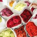 The floral meaning of this beautiful flower is used to denote something delicate and dainty and is also the official symbol of love. Flowers That Mean Forgiveness | Hunker